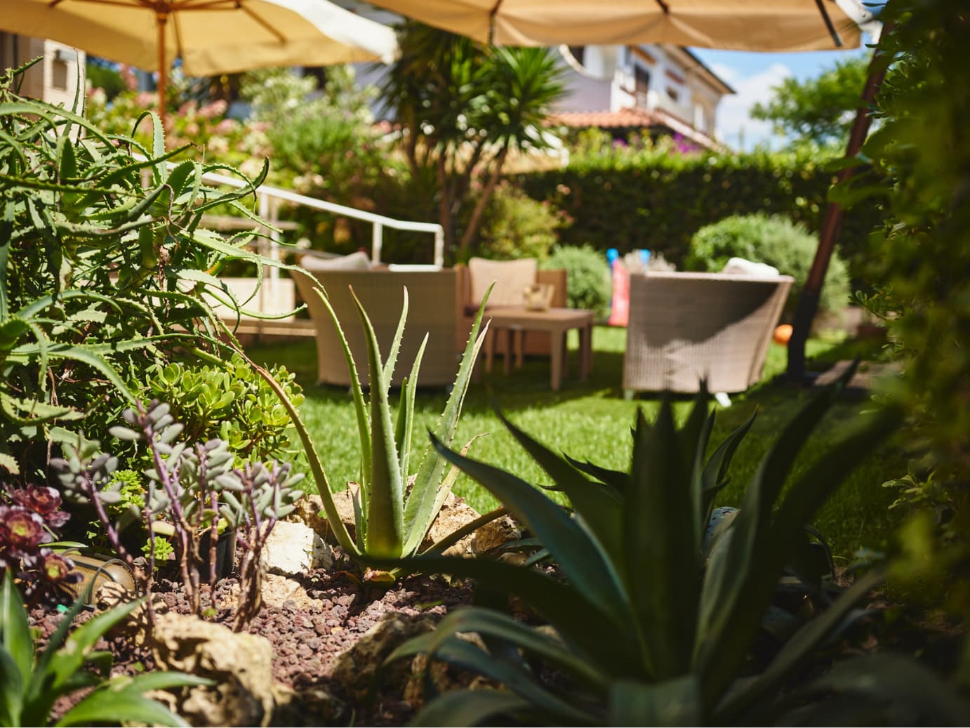 Giardino con Giochi